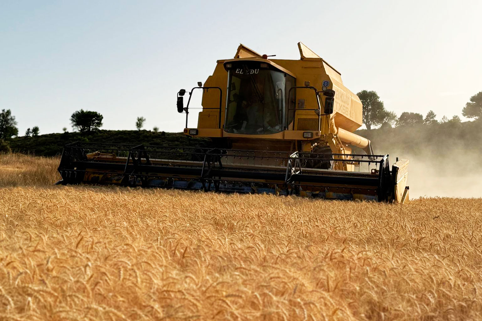 Trabajos Agrícolas en Cuenca | Preparación y Acondicionamiento de Fincas | Agro Excavaciones y Derribos Edu